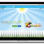 Website Design