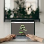 Website Design